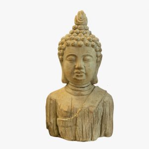 Cabeza Buddha Mediana